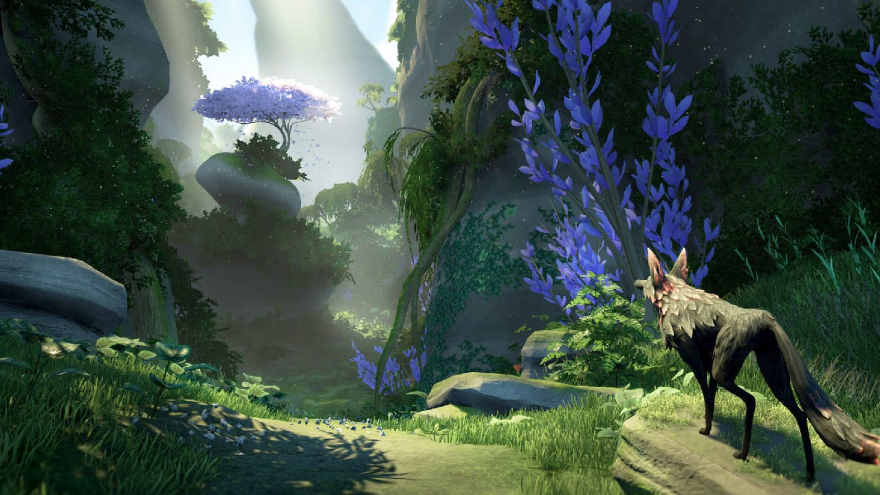 Lost Ember