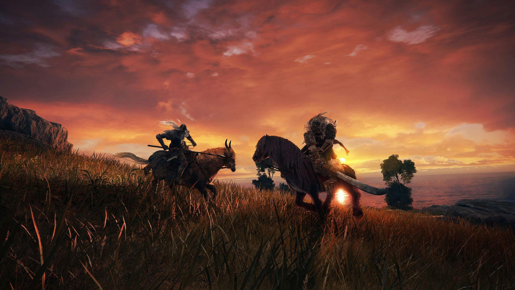 Patch Elden Ring lost ‘deathloopbug’ in pc-versie op