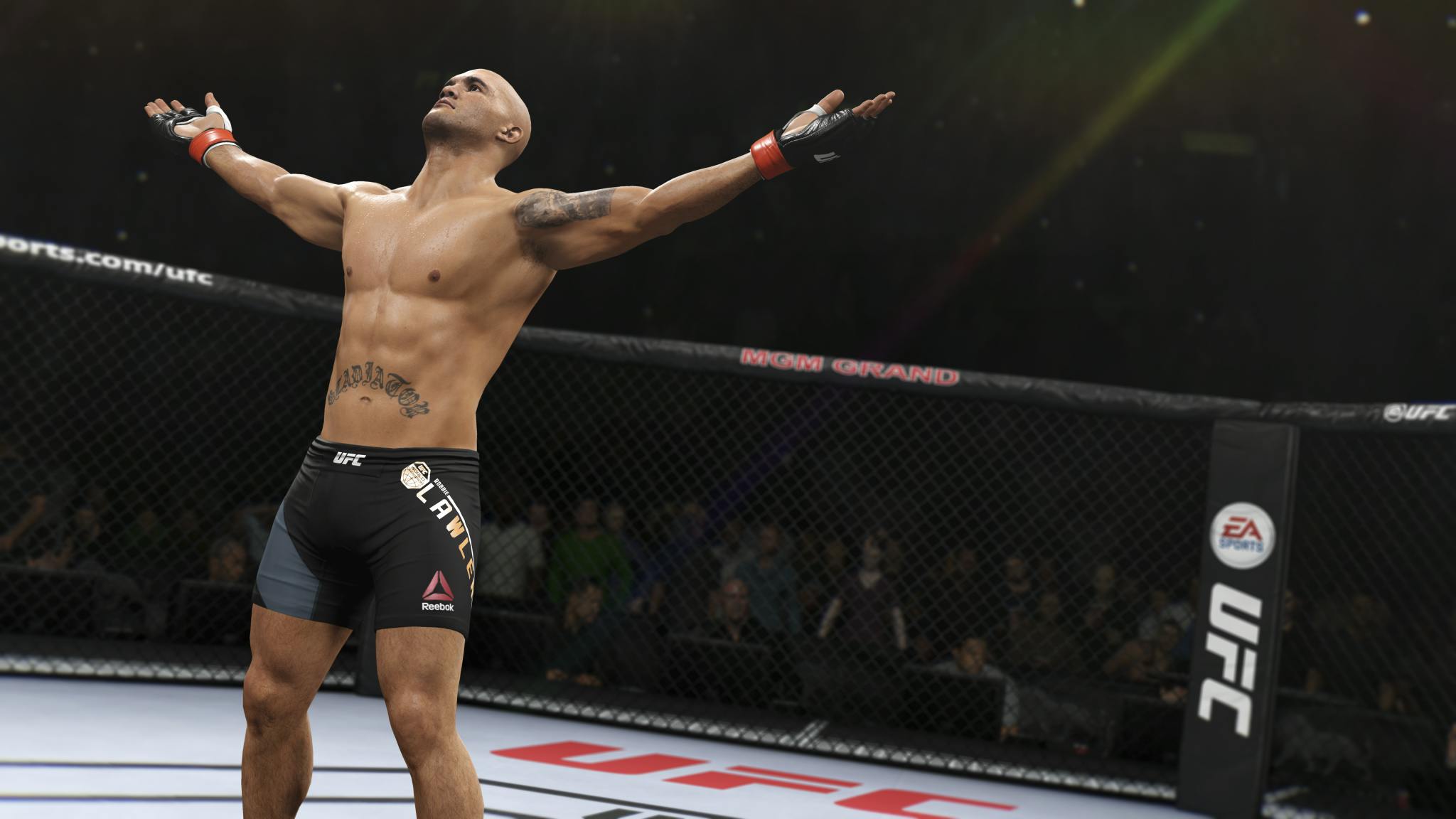 Electronic Arts werkt mogelijk aan UFC 4