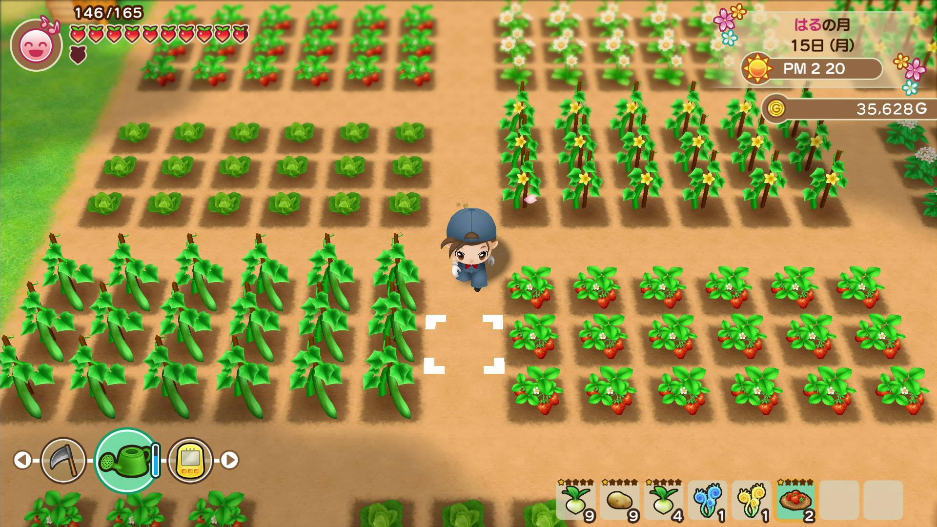 Releasedatum Story of Seasons: Friends of Mineral Town bekend