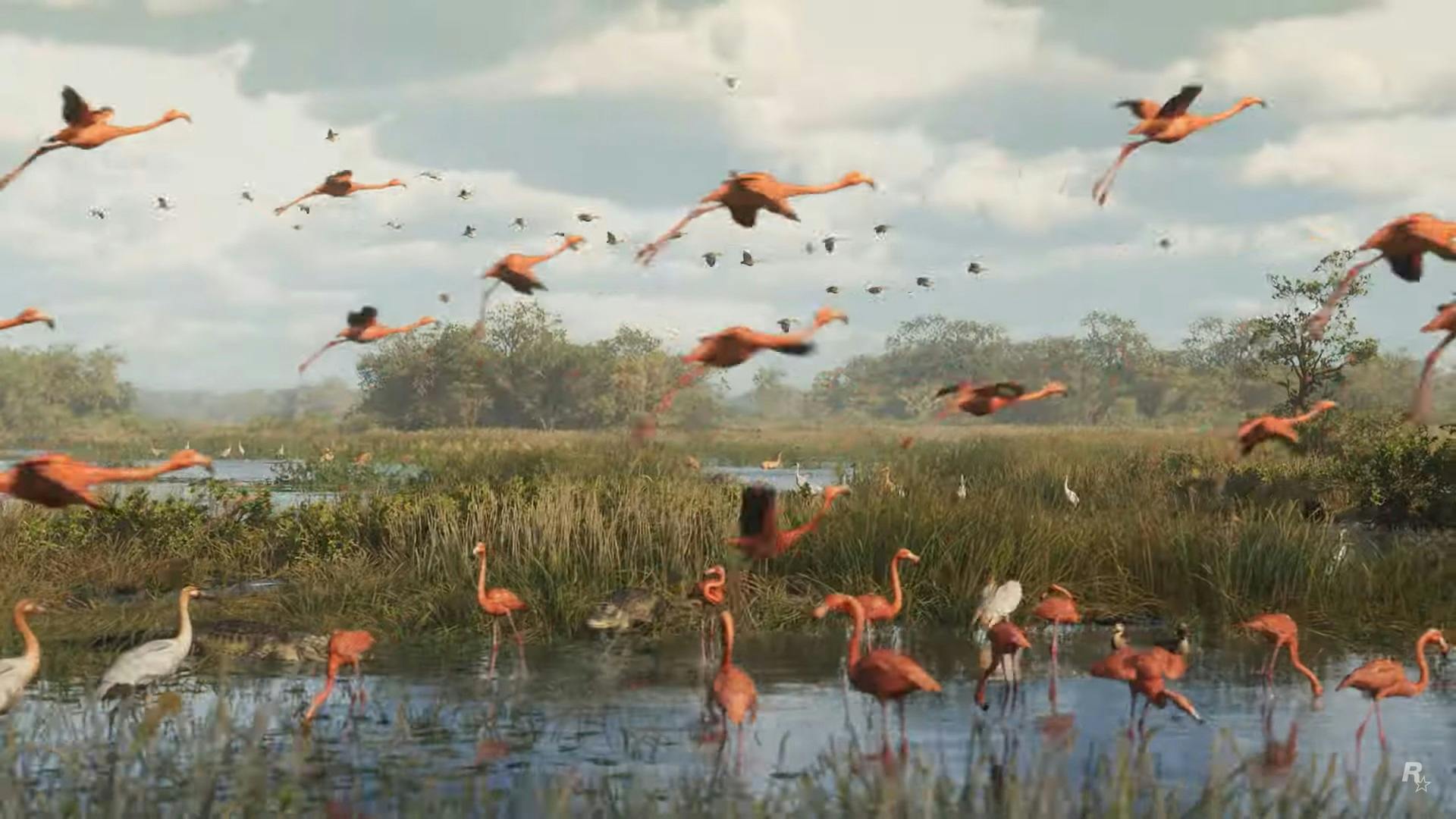 Dieren in GTA 6 waaronder flamingo's en krokodillen