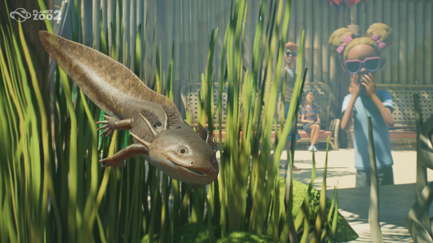 Planet Zoo 2 Deluxe Axolotl