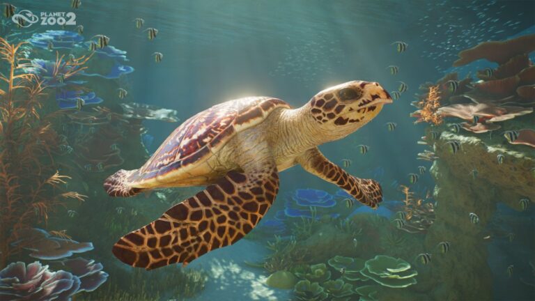 Planet Zoo 2 toont aquariums, volières en dierenverzorging in nieuwe gameplaytrailer