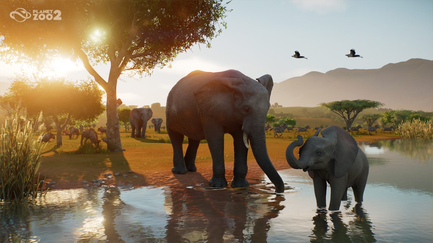 Planet Zoo 2 Watering Hole Elephant